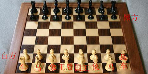 国际象棋游戏手机版