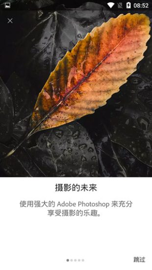 Lightroom安卓版