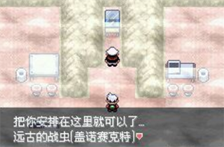 口袋妖怪永恒之沫中文版