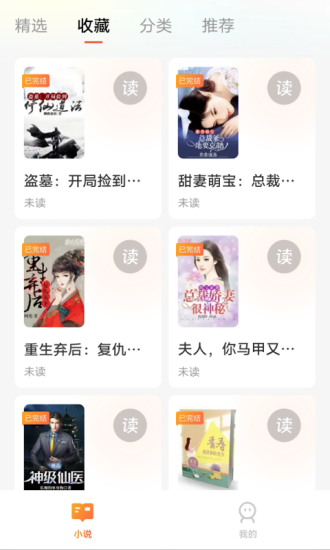 吟安小说安卓版