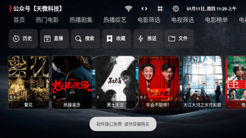 飞龙影视tv版