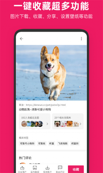 图片搜搜安卓版