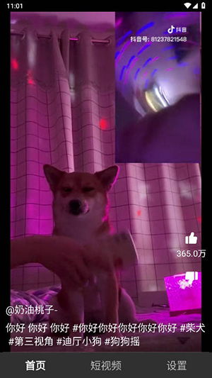 笑番短视频免费版