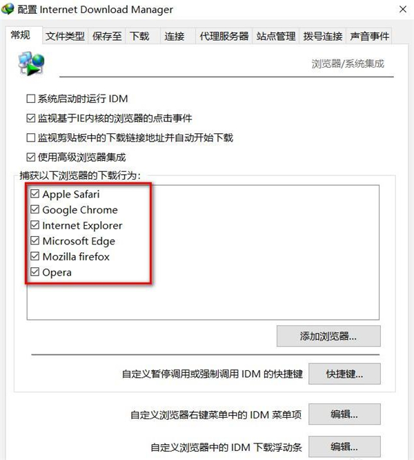 IDM2024绿色免安装版