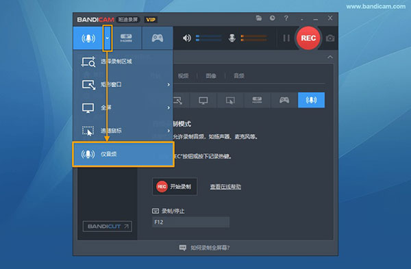 Bandicam电脑版