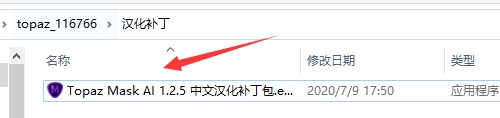 Topaz Mask AI中文破解版