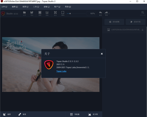 Topaz Studio 2中文版