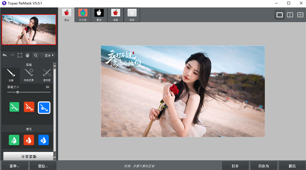 Topaz ReMask 5汉化版