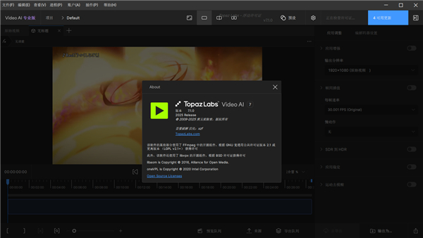 Topaz Video AI中文版