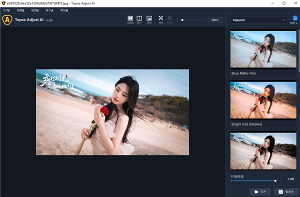 Topaz Adjust AI汉化版
