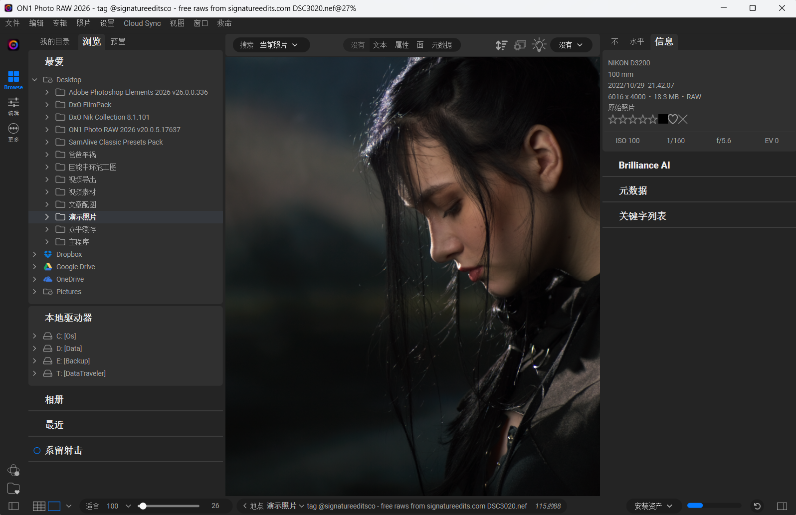 ON1 Photo RAW MAX 2026中文版