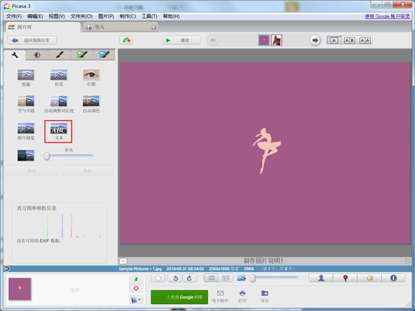 Google Picasa中文版