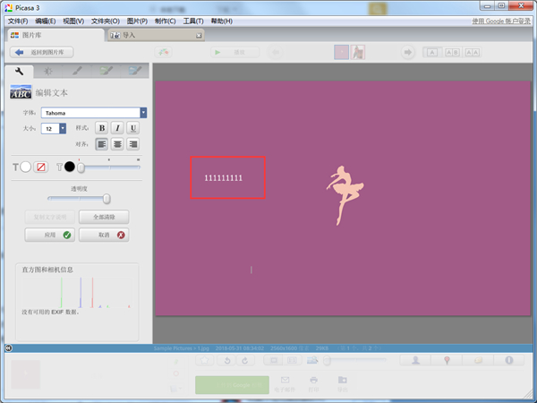 Google Picasa中文版