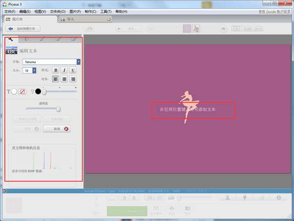 Google Picasa中文版