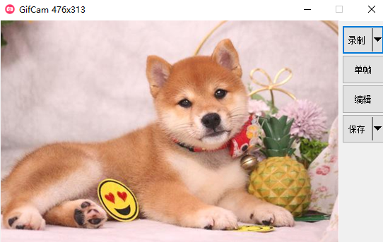 GifCam中文免费版