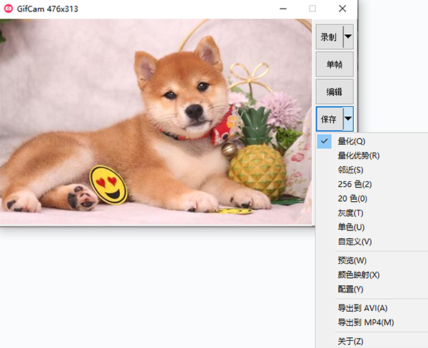 GifCam中文免费版