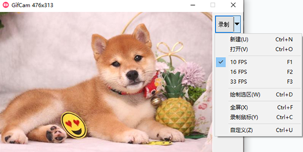 GifCam中文免费版