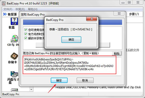 BadCopy Pro免费版