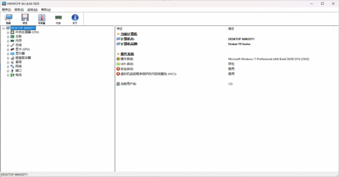 HWiNFO硬件检测中文绿色版