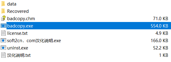 BadCopy Pro免费版