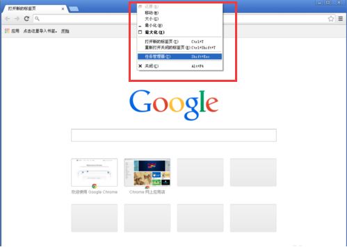 谷歌浏览器Google Chrome绿色便携版 v72.0.3626.119