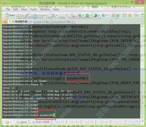 xshell4中文版 v4.0